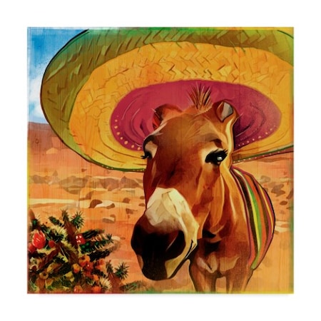 ALI Chris 'Fiesta Mule' Canvas Art,14x14
